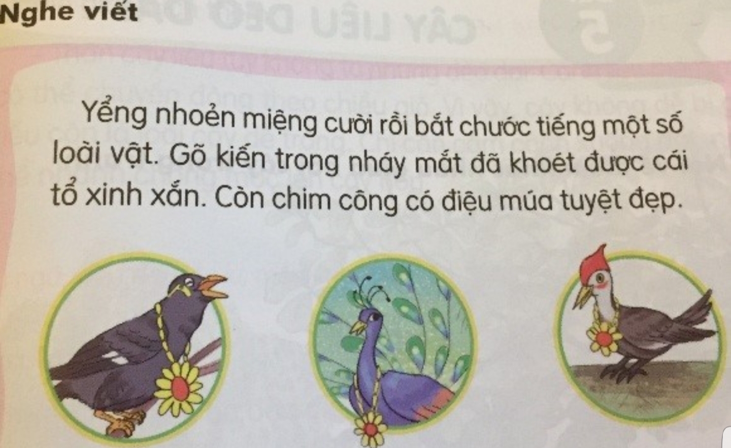 Tiếng Việt 1 Bộ “Kết nối tri thức với cuộc sống”: Nhiều ngữ liệu ...