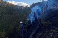 Chủ tịch UBND tỉnh Lào Cai chỉ đạo chữa cháy rừng tại Sa Pa