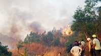 Bắc Tây Nguyên tập trung chống hạn và ngăn chặn cháy rừng trên diện rộng