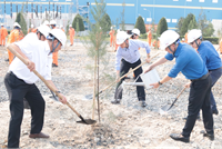 Nhiệt điện Vĩnh Tân 4 Tết trồng cây gắn với bảo vệ môi trường