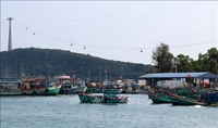 Kiên Giang còn trên 1 460 tàu cá chưa đăng ký, đăng kiểm
