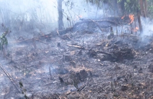 Hơn 1 nghìn hộ dân thiếu nước sinh hoạt do cháy rừng