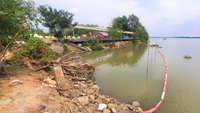 UBND phường Long Phước để xảy ra nhiều trường hợp vi phạm về đất đai với quy mô lớn