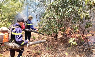 Sẵn sàng phối hợp, ứng cứu các tình huống khẩn cấp khi có cháy rừng xảy ra