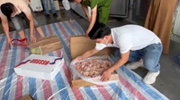 Thừa Thiên Huế Tạm giữ 2,4 tấn gà đông lạnh không rõ nguồn gốc