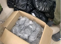 Bắt 179kg ma túy vận chuyển từ Đức về Nội Bài