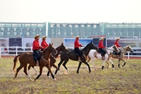 Các khóa học với ngựa quý thu hút cư dân đổ về Vinhomes Royal Island